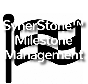 SynerStone™